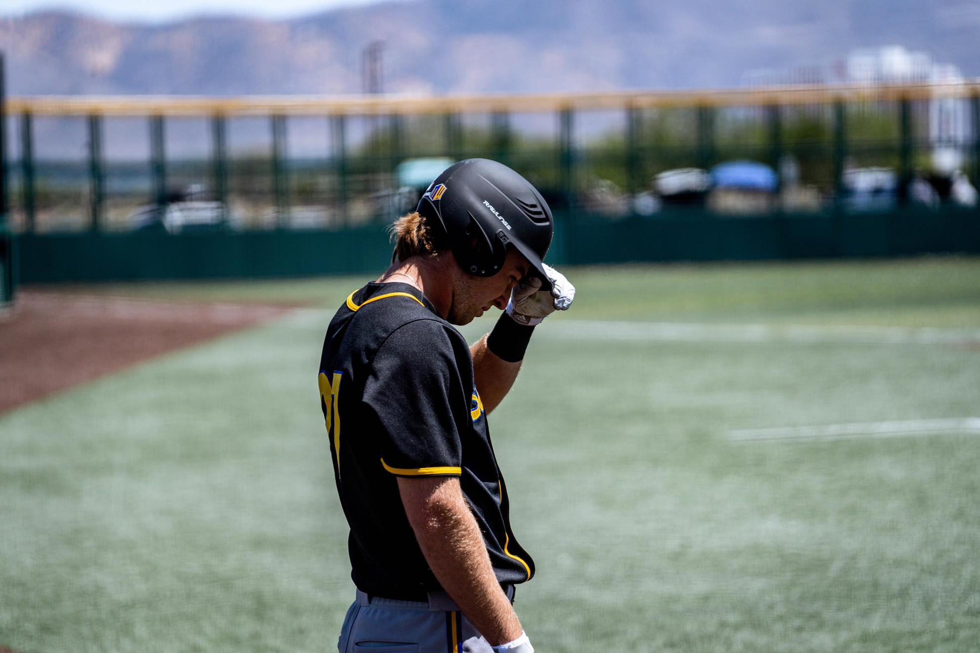 Max Flower - Baseball - California Golden Bears Athletics