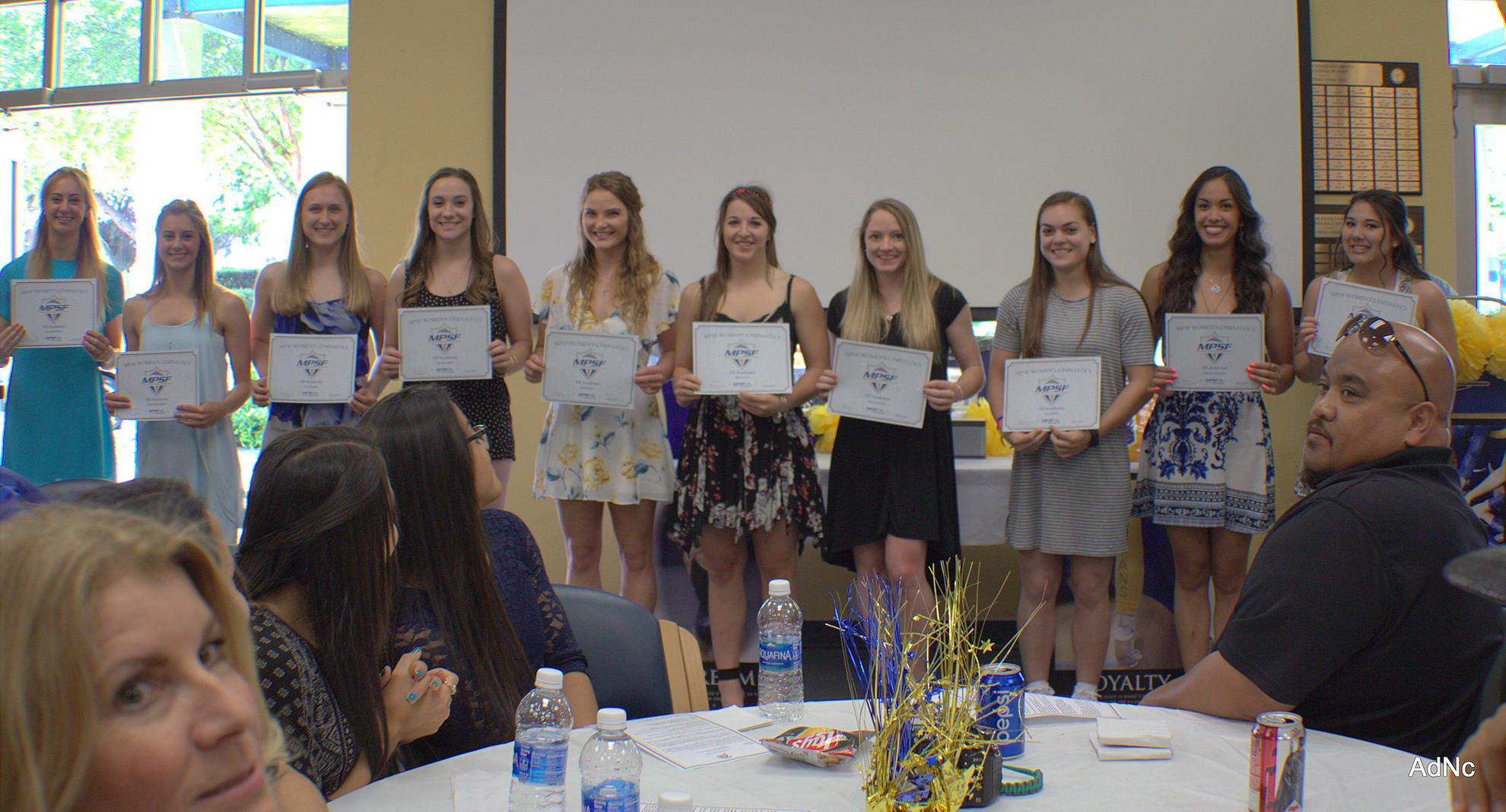 13 Women's Gymnasts Receive NACGC/W Scholastic All-America Recognition ...
