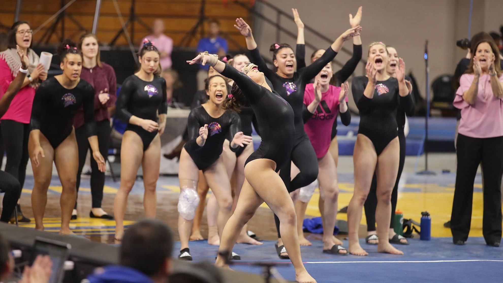 Women's Gymnastics Heads To UC Davis Friday - SJSU Athletics - Official ...