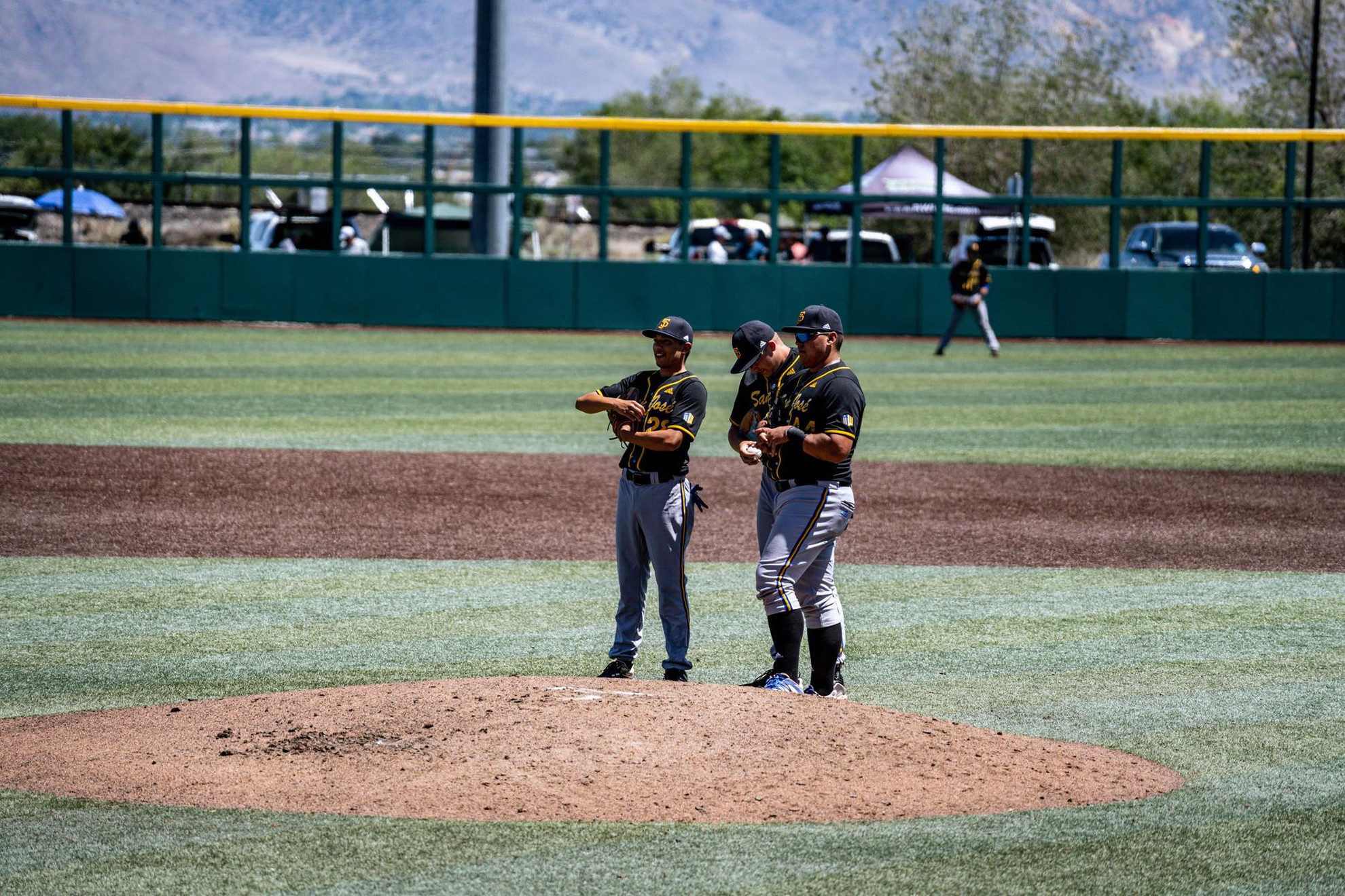 Max Flower - Baseball - California Golden Bears Athletics