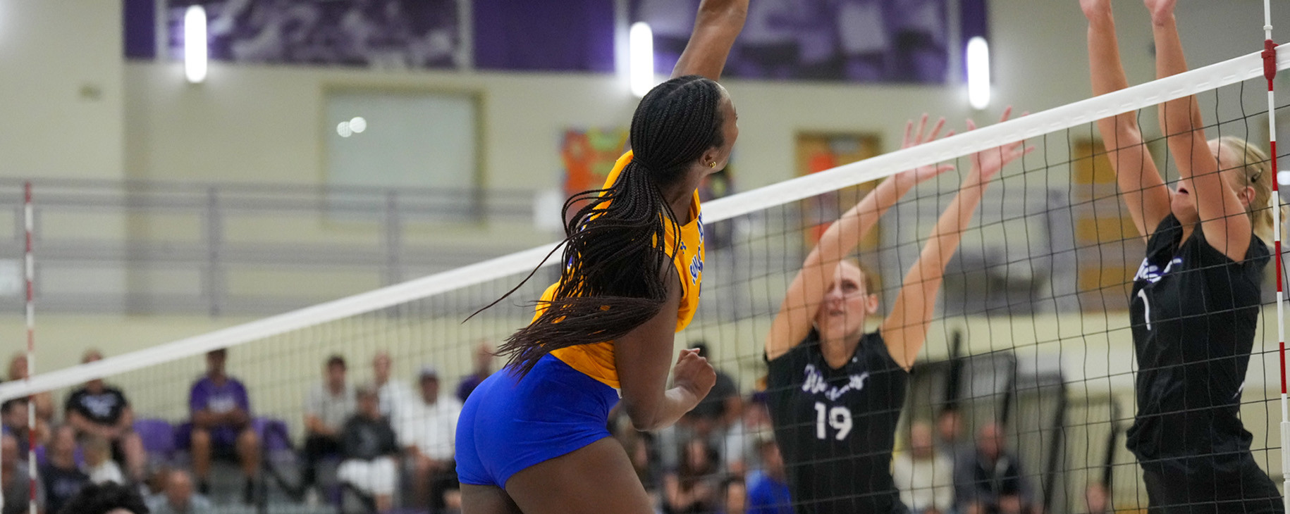 Spartans Fall at Weber State